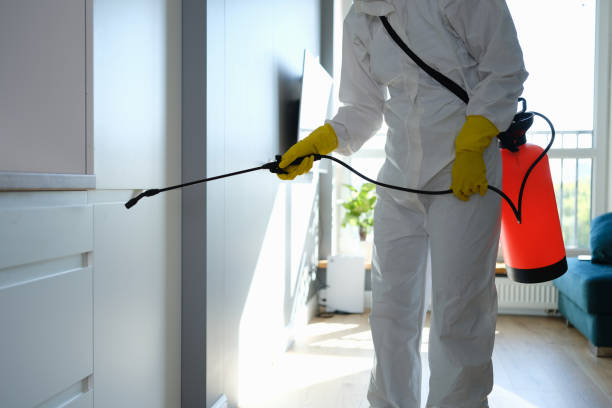 Best Mold Remediation  in Westke, LA